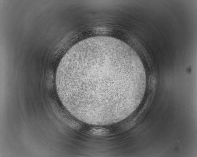 X0000114660557200912011138