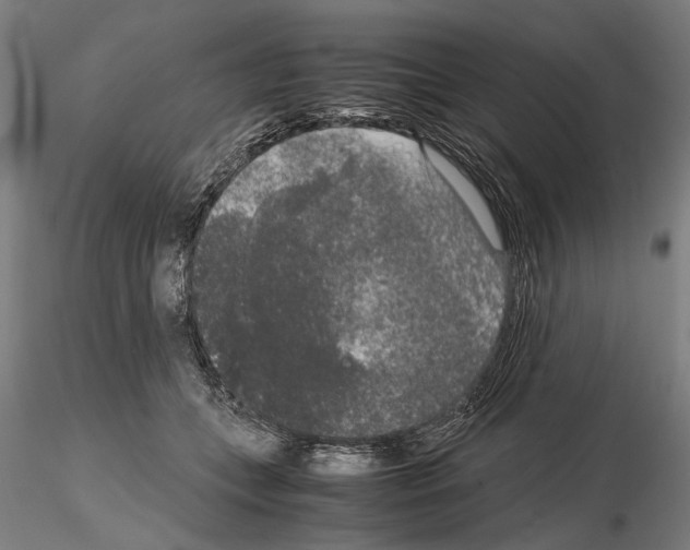 X0000114660559200912011138