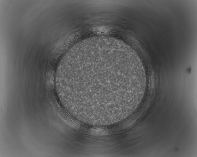 X0000114660561200912011138