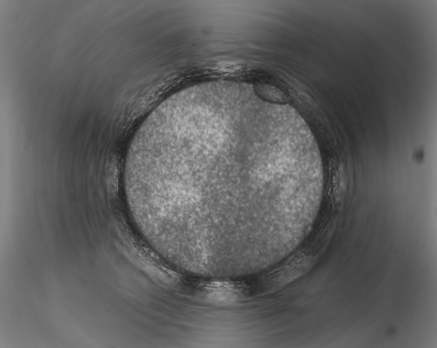 X0000114660562200912011138