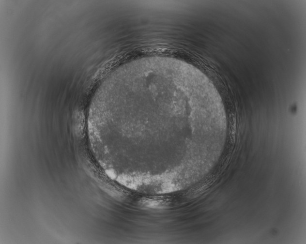 X0000114660563200912011138