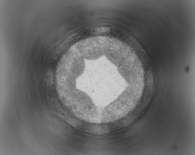 X0000114660565200912011138