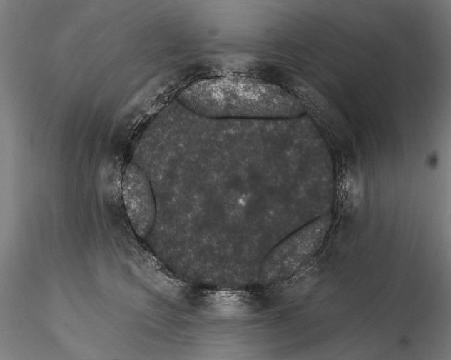 X0000114660566200912011138