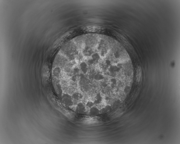 X0000114660569200912011138