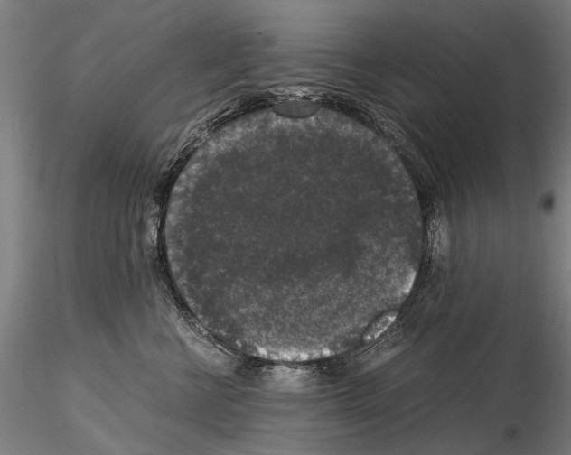 X0000114660570200912011138