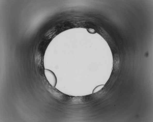 X0000114660574200912011138