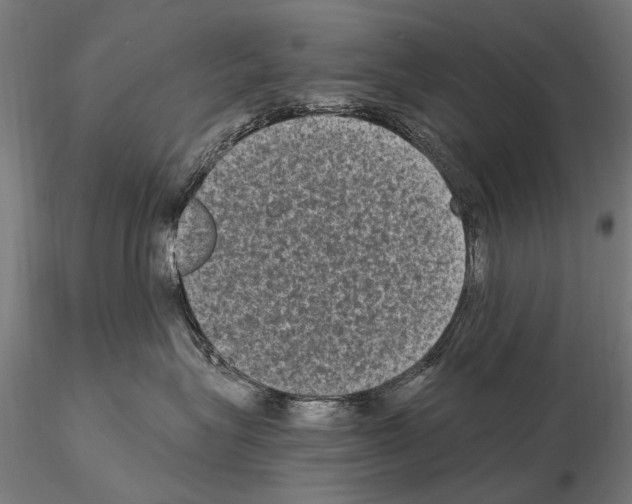 X0000114660575200912011138