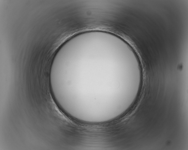 X0000114660577200912011137