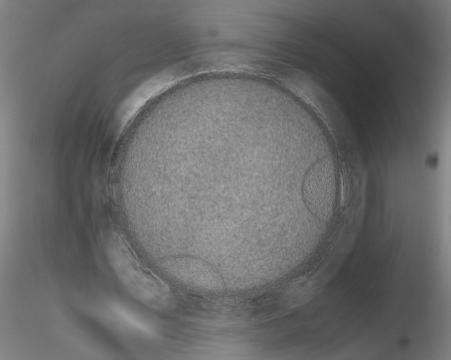 X0000114660579200912011137