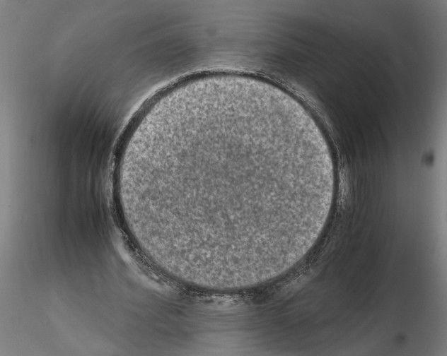 X0000114660580200912011137