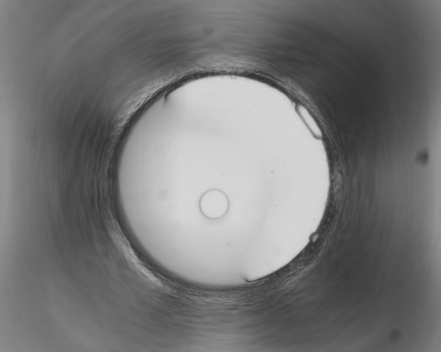 X0000114660581200912011137