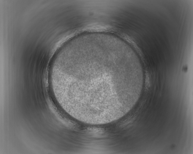 X0000114660582200912011137