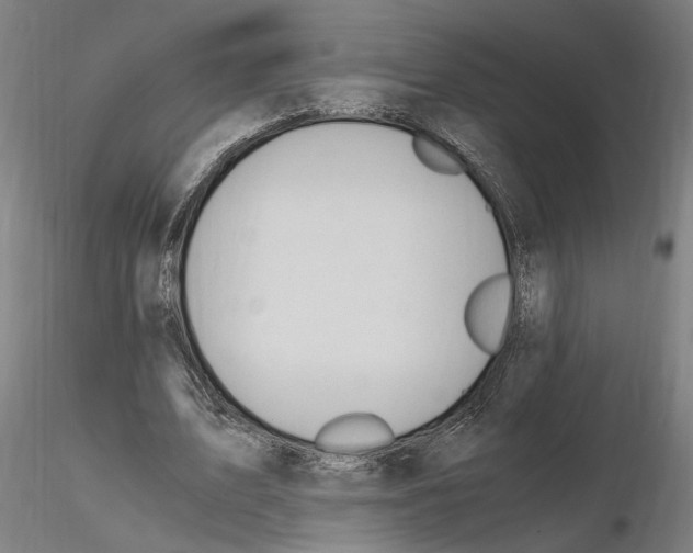 X0000114660583200912011137