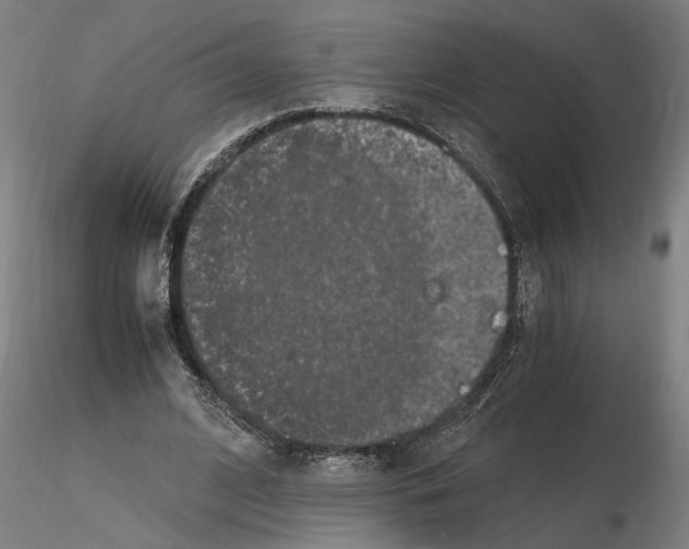 X0000114660584200912011137