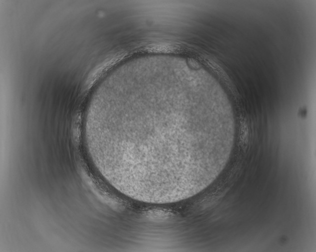 X0000114660586200912011137