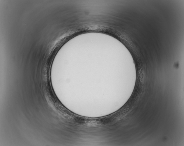 X0000114660587200912011137