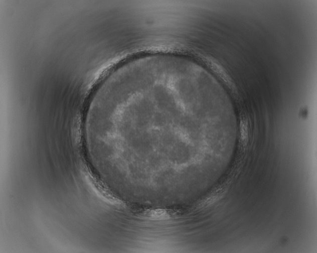 X0000114660588200912011137