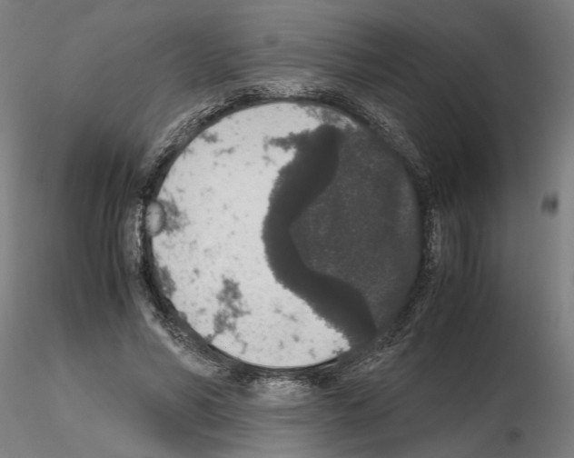 X0000114660590200912011137