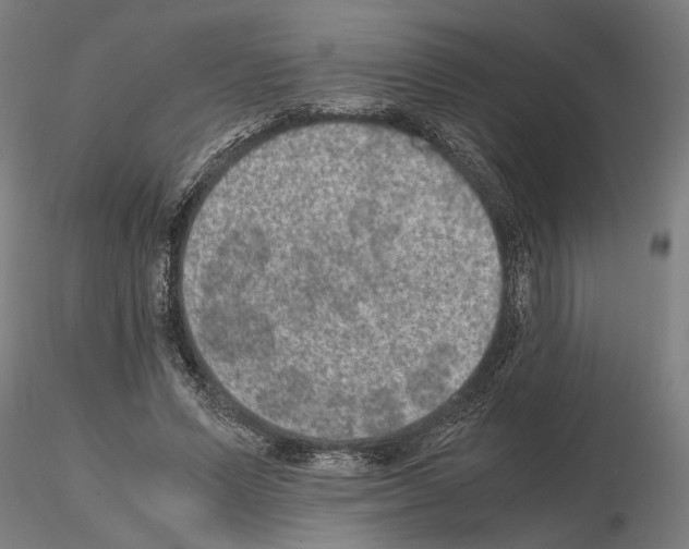 X0000114660591200912011137