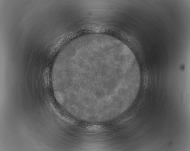 X0000114660594200912011137