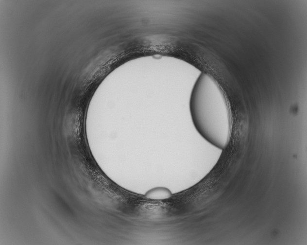 X0000114660595200912011137