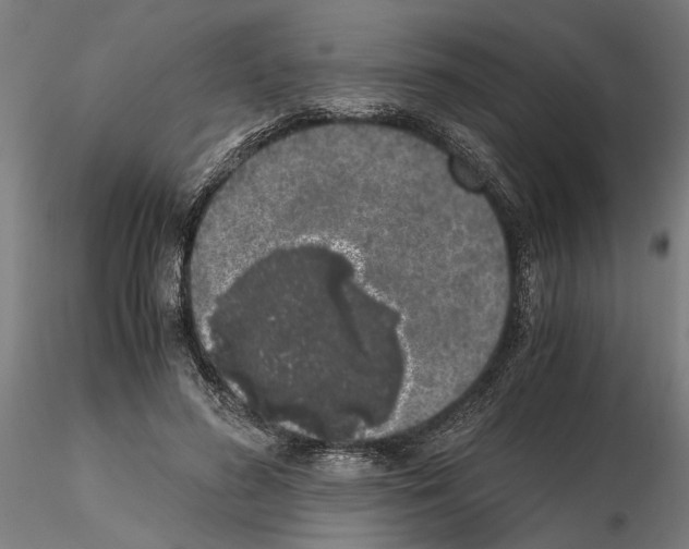 X0000114660596200912011137