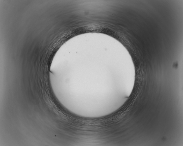 X0000114660597200912011137