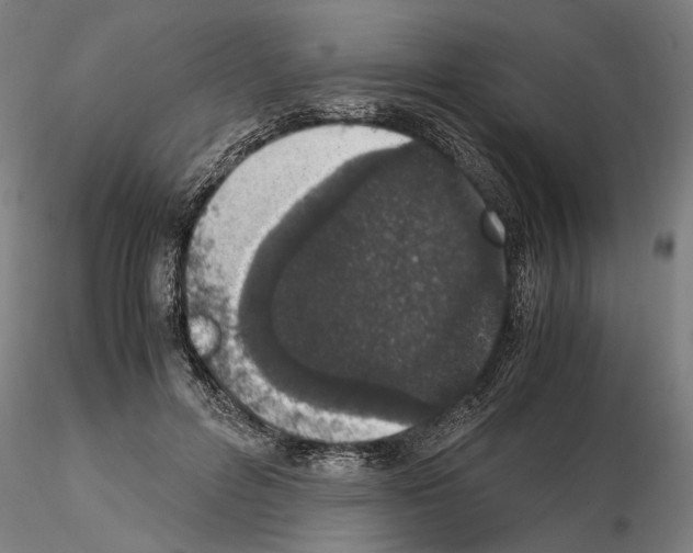 X0000114660600200912011137