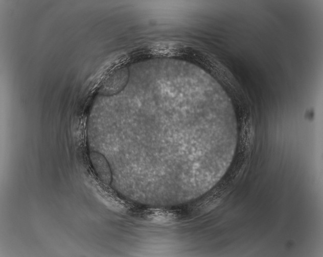 X0000114660601200912011137