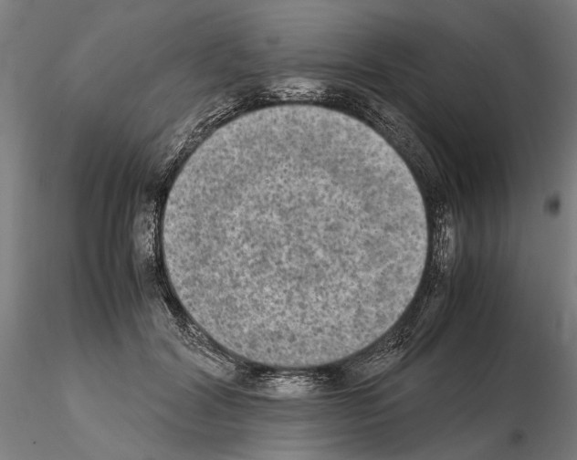 X0000114660604200912011137