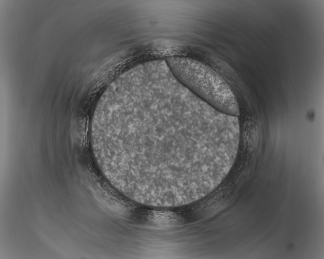 X0000114660605200912011137