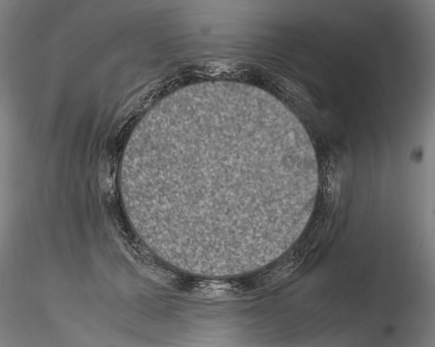 X0000114660607200912011137