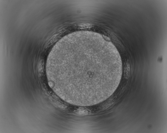 X0000114660608200912011137