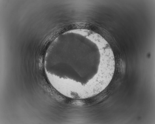 X0000114660610200912011137