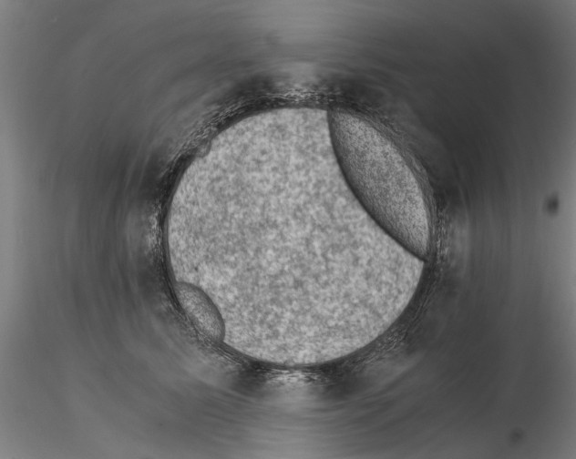 X0000114660611200912011137