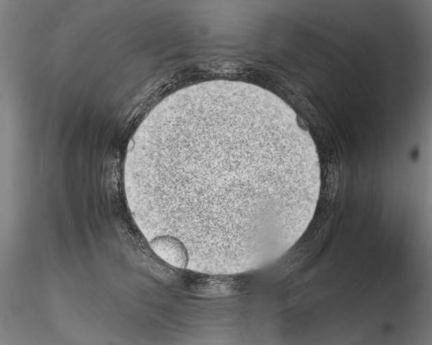 X0000114660612200912011137