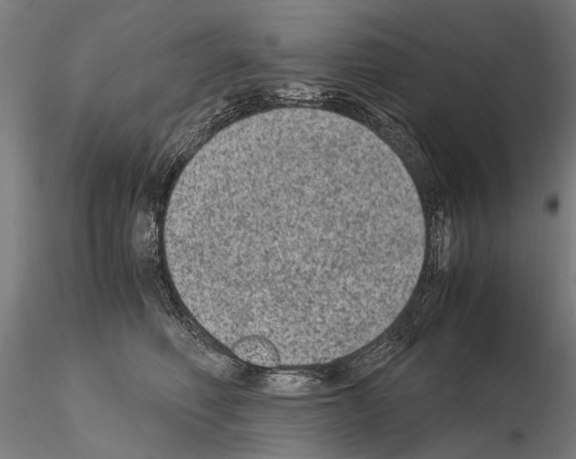 X0000114660614200912011137