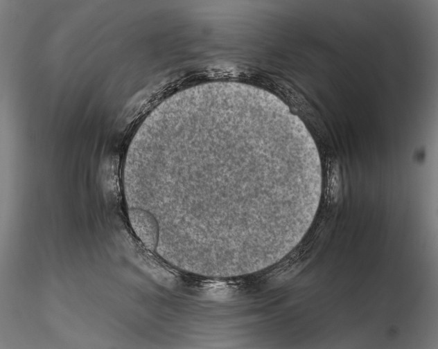 X0000114660616200912011137