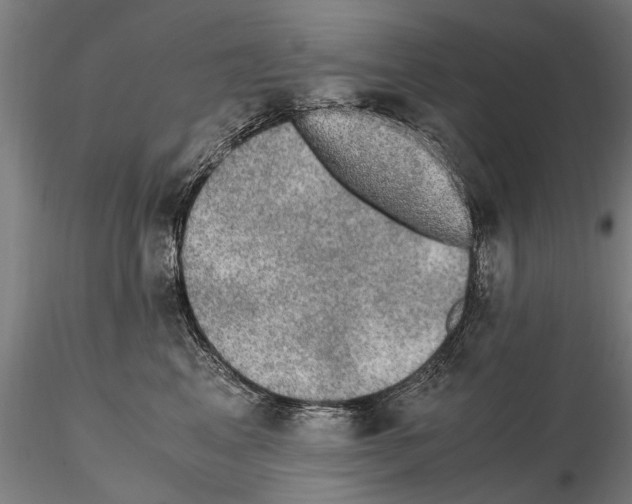 X0000114660617200912011137