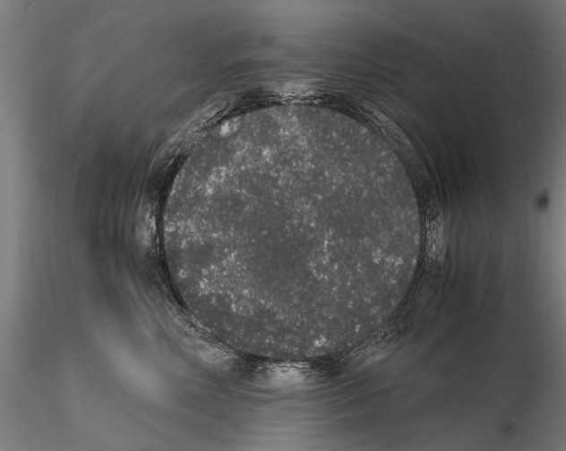 X0000114660618200912011137