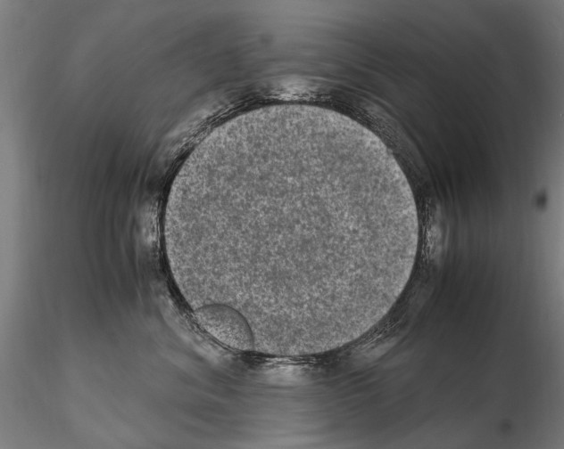 X0000114660620200912011137