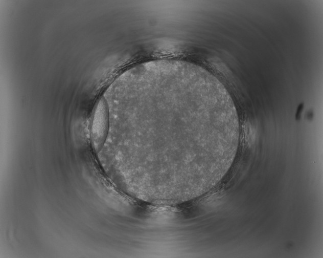 X0000114660621200912011137