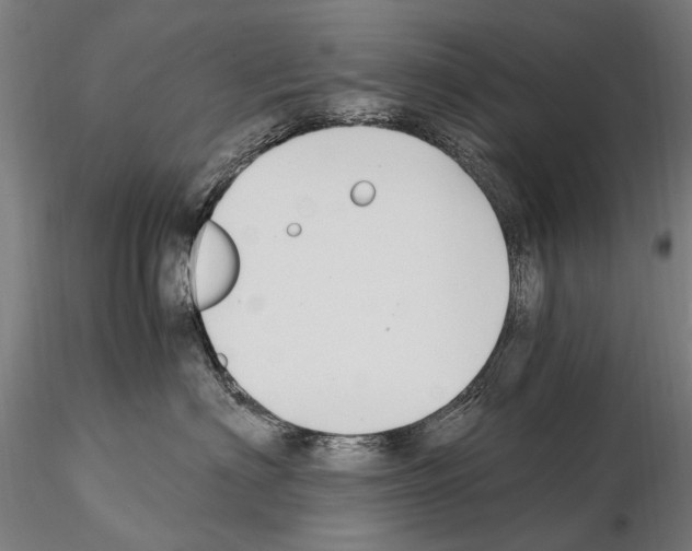 X0000114660622200912011137