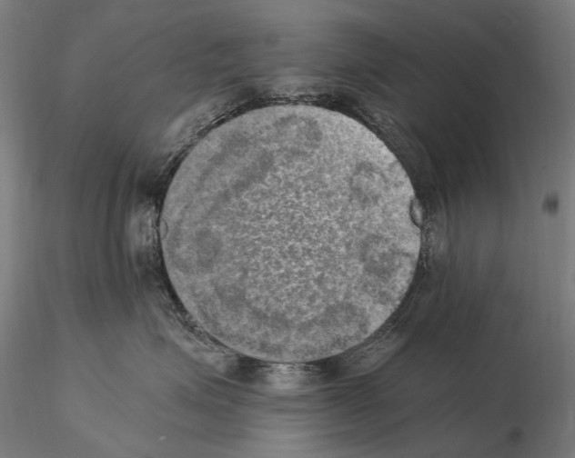 X0000114660623200912011137