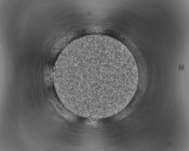 X0000114660624200912011137