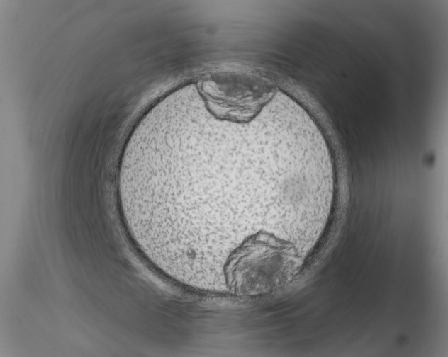 X0000114660625200912011136