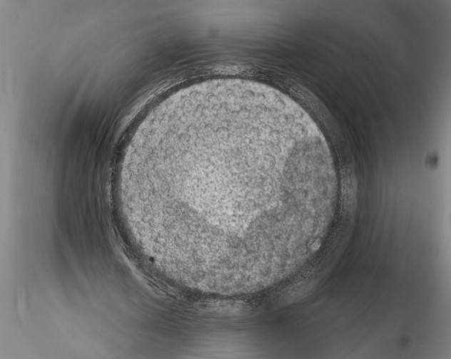 X0000114660626200912011136