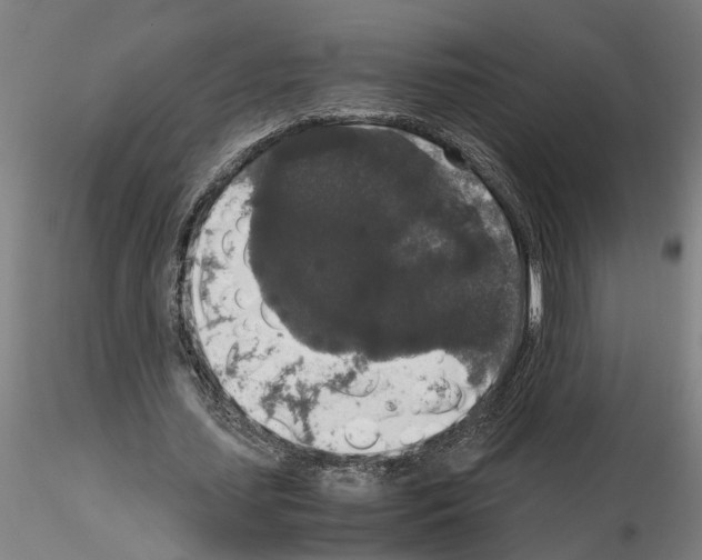 X0000114660627200912011136