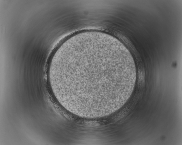 X0000114660628200912011136