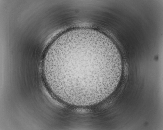 X0000114660629200912011136